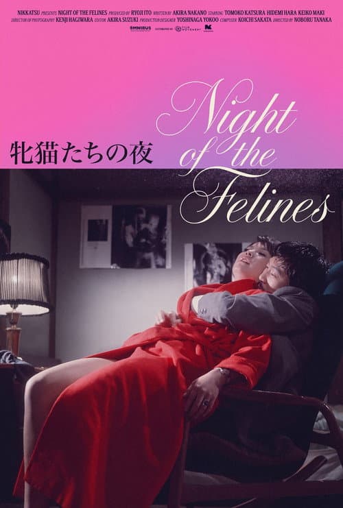 Night of the Felines poster