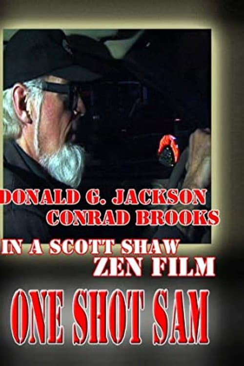 One Shot Sam poster