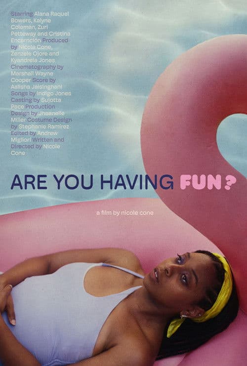 Are You Having Fun? poster