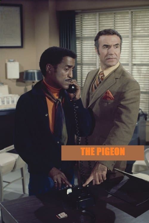 The Pigeon poster
