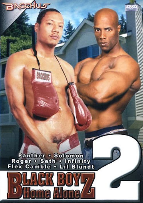 Black Boyz Home Alone 2 poster