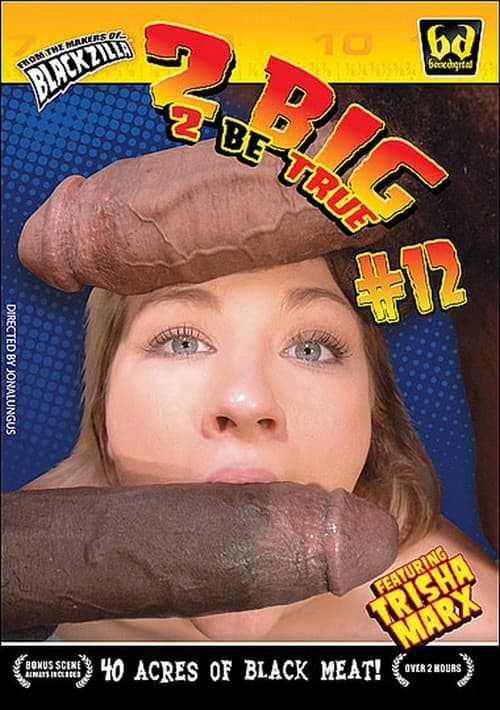 2 Big 2 Be True 12 poster