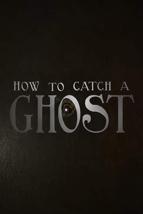 How To Catch A Ghost poster