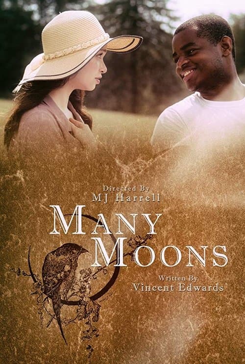Many Moons poster