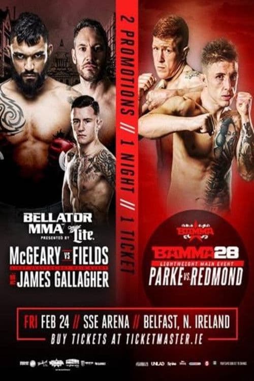Bellator 173: McGeary vs. McDermott poster