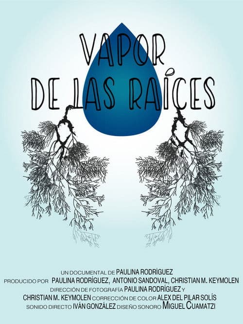 Vapor de las raíces poster