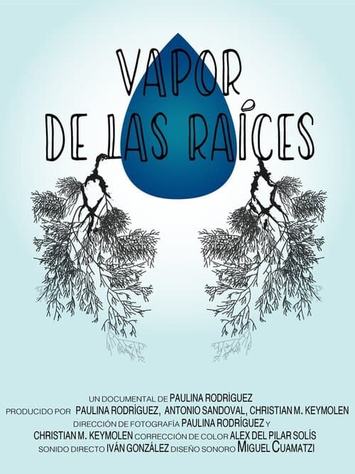 Vapor de las raíces poster