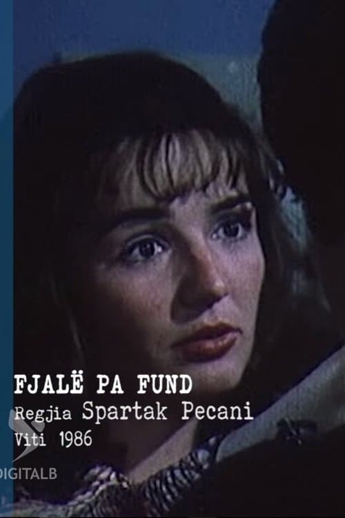 Endless Words poster