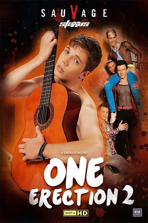 One Erection 2 poster