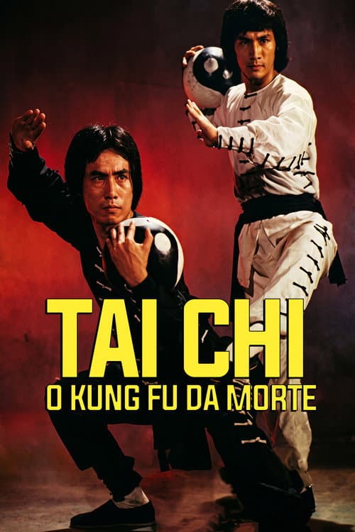 Tai Chi Shadow Boxing poster