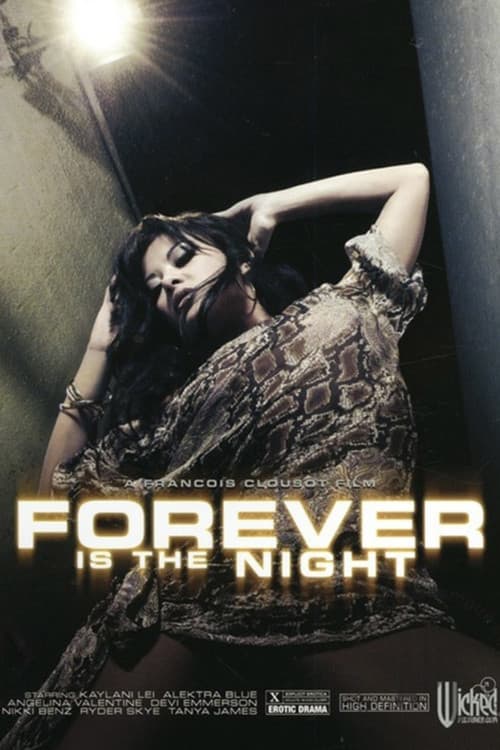 Forever Is the Night poster
