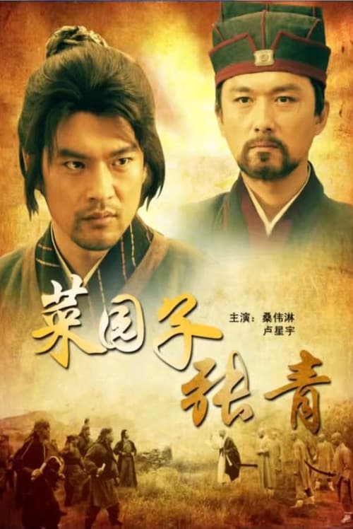 菜园子张青 poster