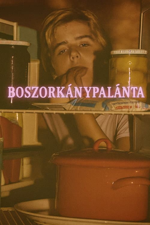 Boszorkánypalánta poster