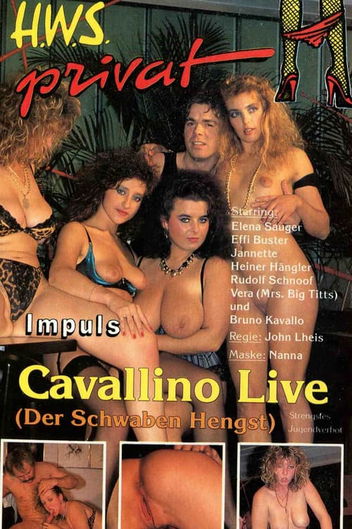 Cavallino Live (Der Schwaben Hengst) poster