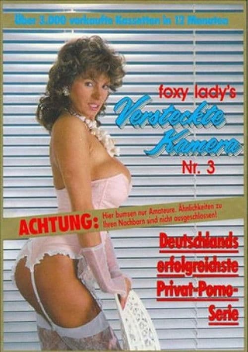 Foxy Lady's versteckte Kamera 3 poster