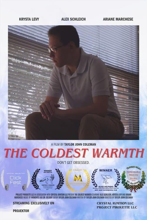 The Coldest Warmth poster