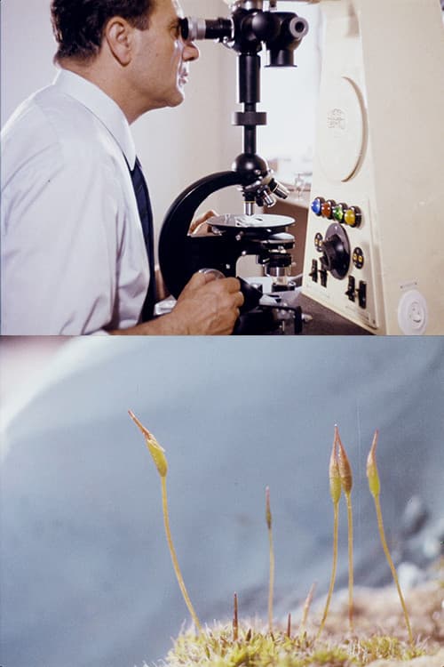 Un pequeño colonizador verde poster