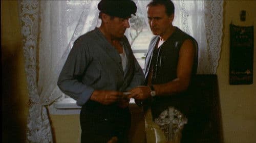 The Wedding Night During the Daylight poster