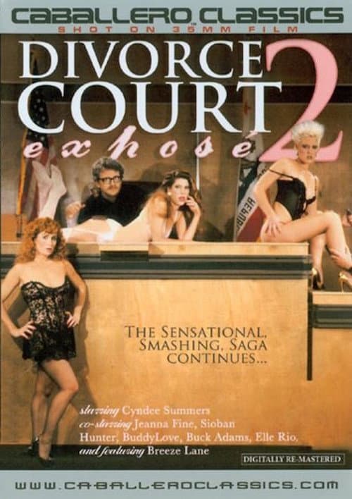 Divorce Court Expose 2 poster
