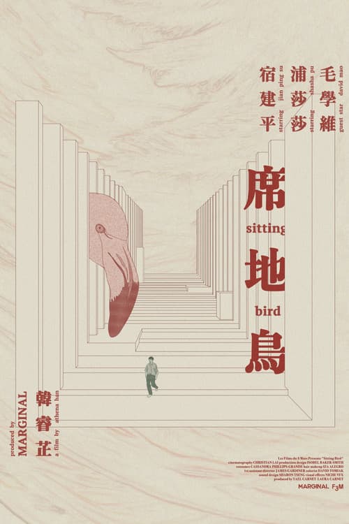 Sitting Bird poster