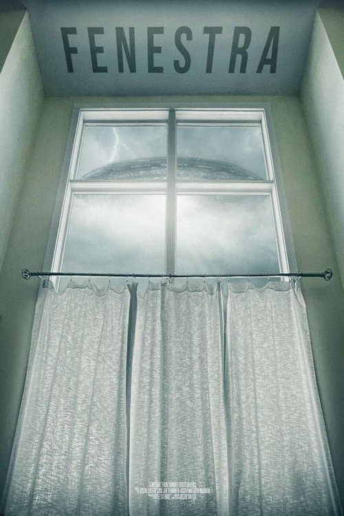 Fenestra poster