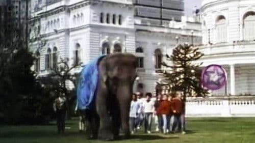 Un elefante en banda poster