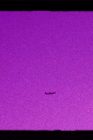 Shoegazer's Brown Eye Reverie