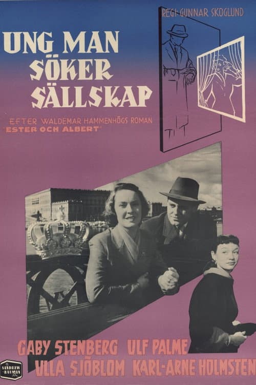 Young Man Seeking Company poster