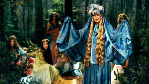 Jakub a Modřínka poster