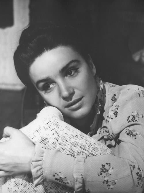 Life of Ermiles poster