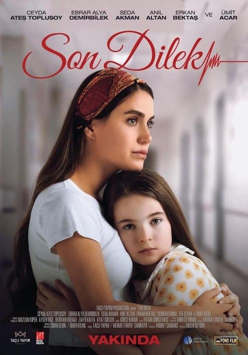 Son Dilek poster