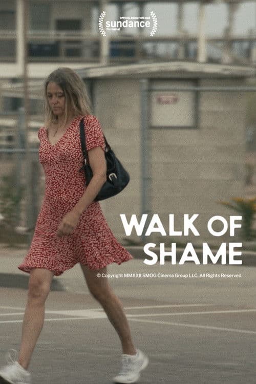 Walk of Shame poster