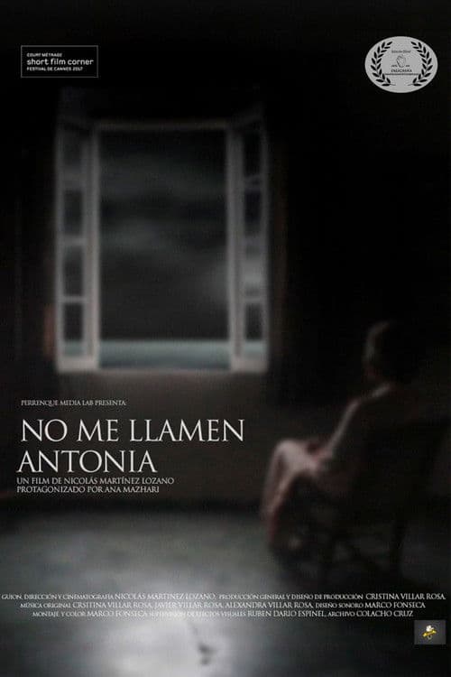 Don't Call Me Antonia poster