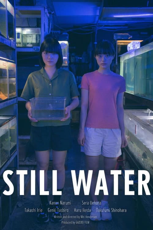Still Water poster