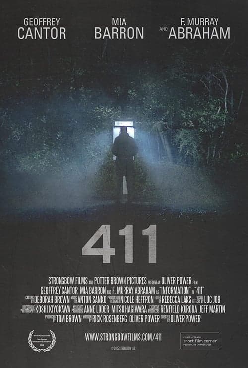 411 poster