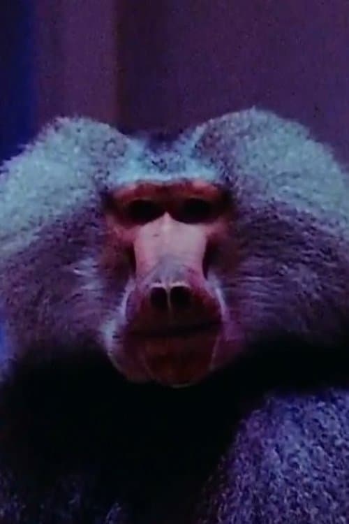 Typhoon profile photo