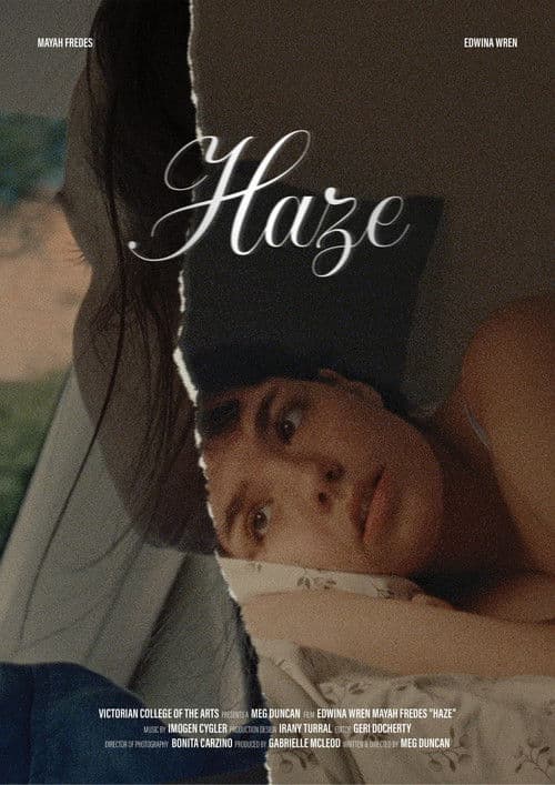 Haze poster