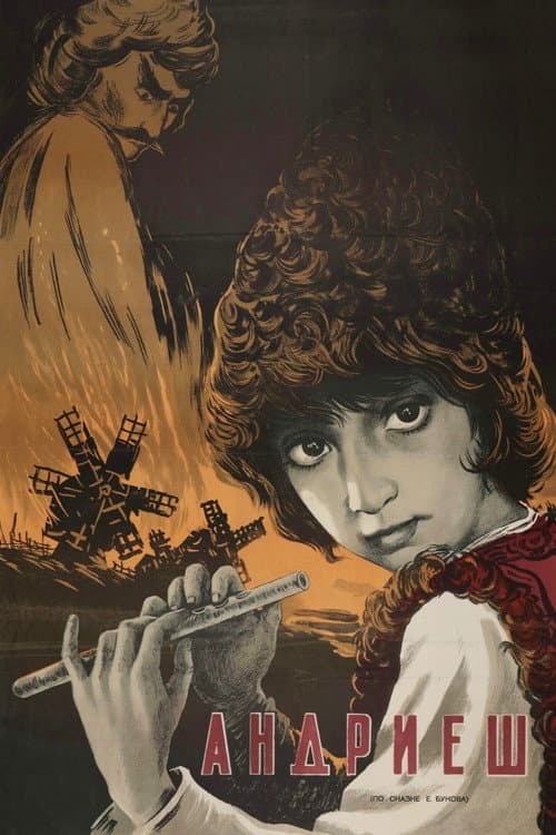 Andriesh poster