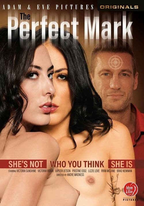 The Perfect Mark poster