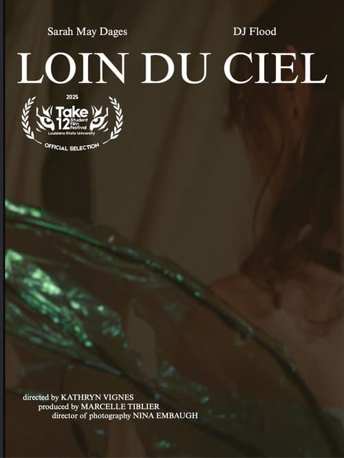 Loin Du Ciel poster