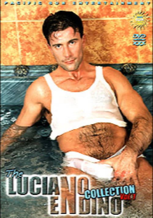 The Luciano Endino Collection 1 poster