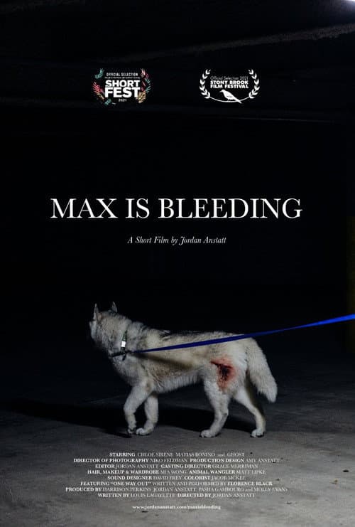 Max is Bleeding poster