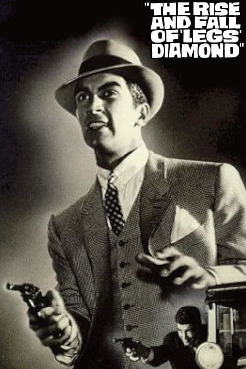 The Rise and Fall of Legs Diamond poster