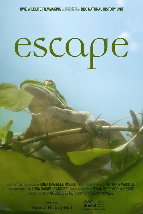 Escape poster