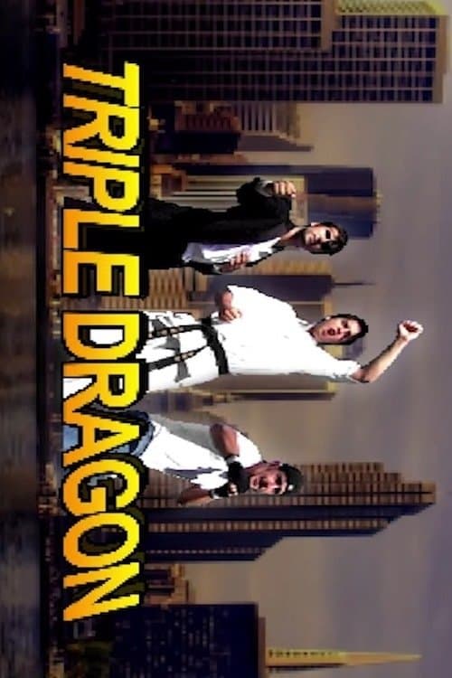 Triple Dragon poster