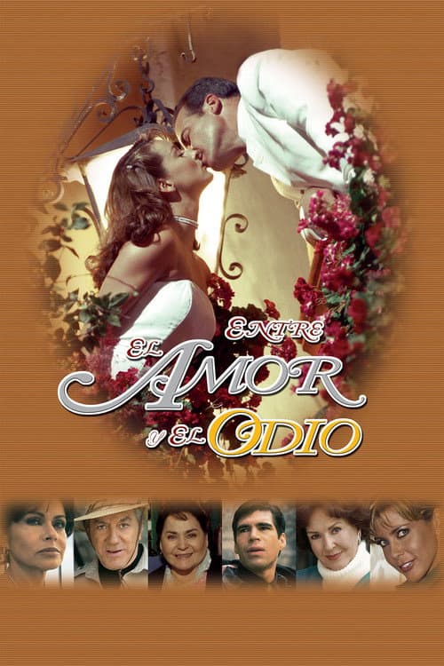 No Limite da Paixão poster