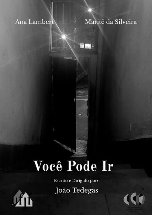 Você Pode Ir poster