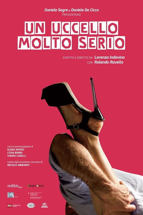 Un uccello molto serio poster