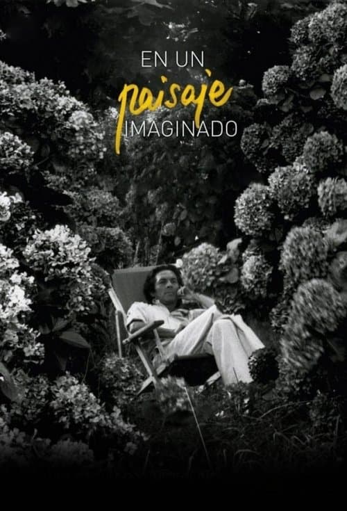 Imagined Landscape poster