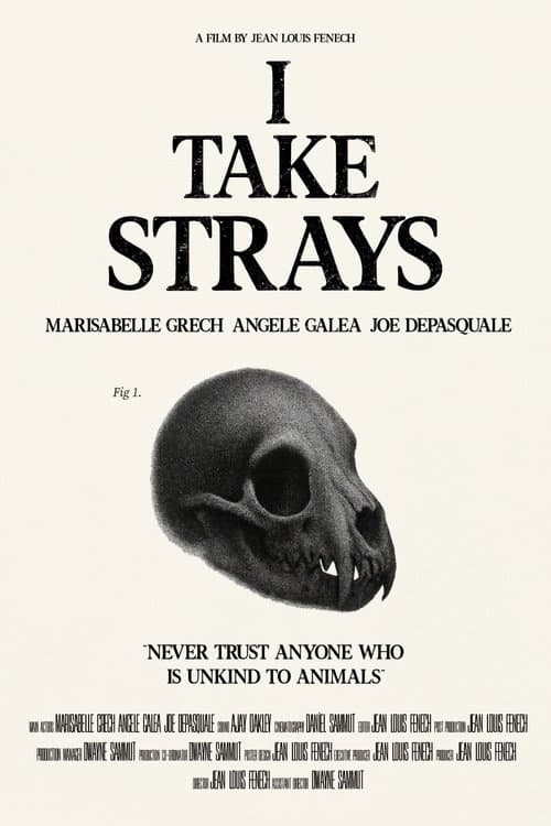 I TAKE STRAYS poster